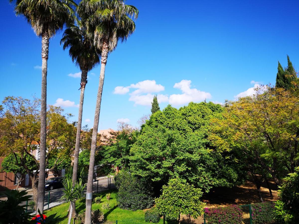 Bright Modern Residencial - Single With Shared Bathroom Near Airport Accommodatie bij particulieren *